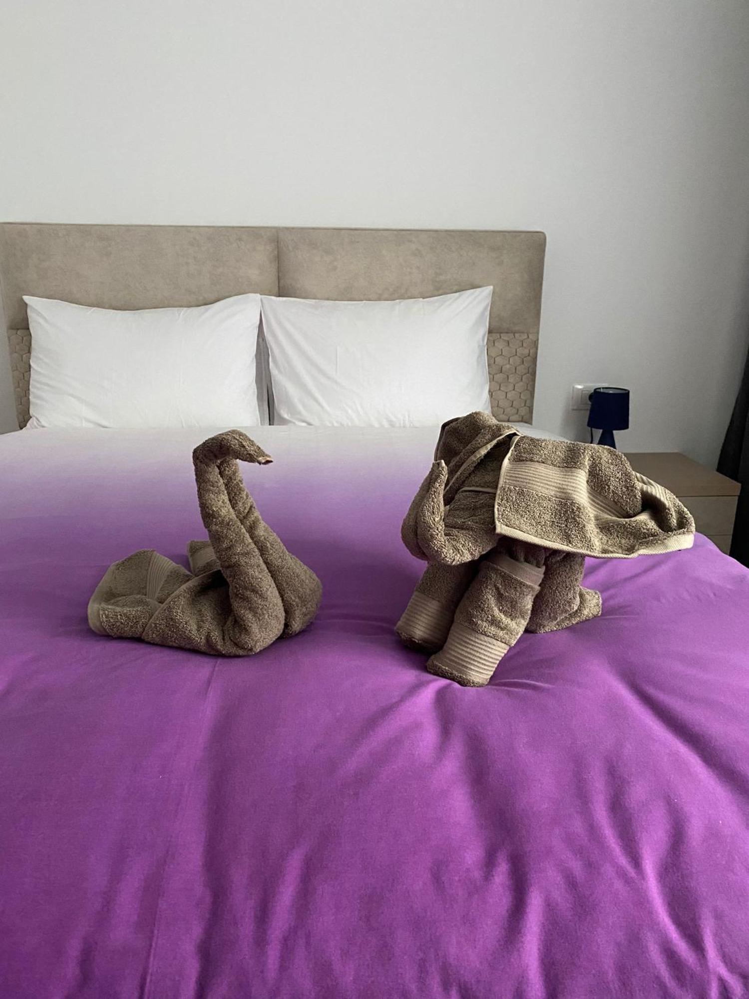 Urban Alexa Home บราชอฟ ภายนอก รูปภาพ